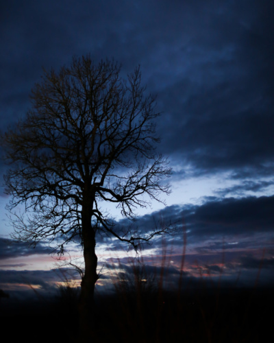 Ambiance mystique à la Commanderie un soir de février