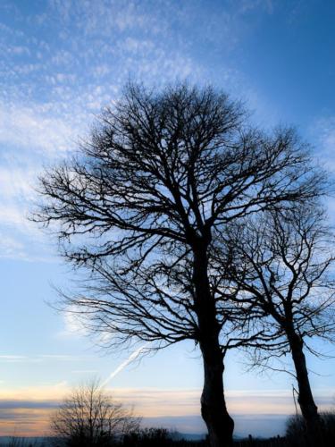 Tout est à l'échelle du siècle à la Commanderie 